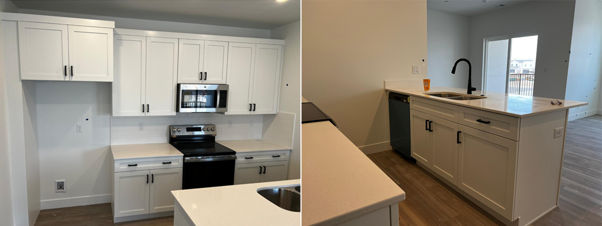 cabinet projects